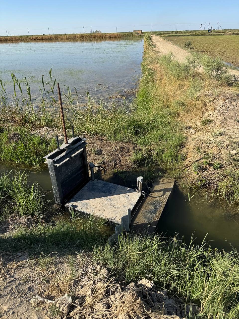 Daryo va irrigatsiya kanallariga